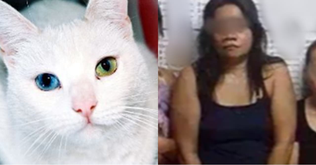 Pusang Puti, Halimaw sa Gabi