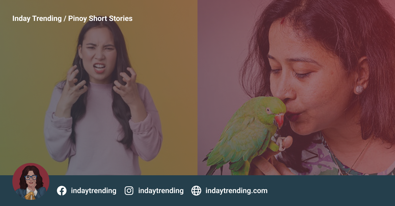 Ayaw ng Ina sa Ibong ‘Parrot’ na Tinulungan at Inampon ng Kaniyang Anak
